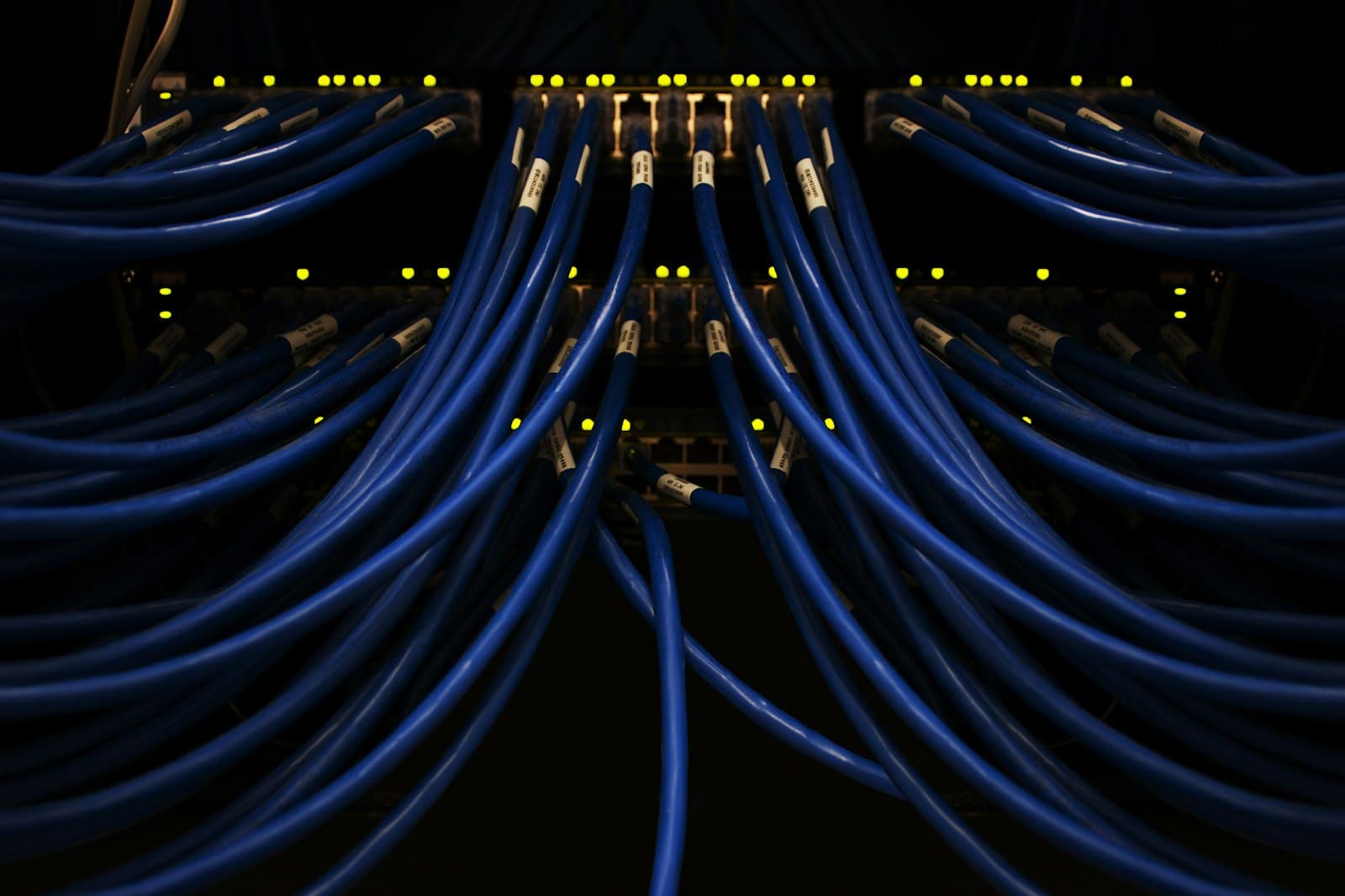 Labelled network cables patched into a data centre rack